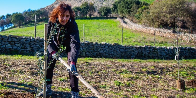 A Cuglieri 12mila mq tornano alla collettività grazie Nespresso