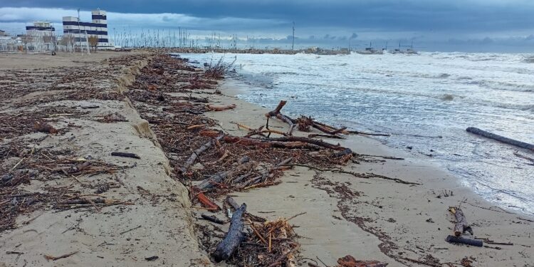 Spiaggia Senigallia invasa da detriti