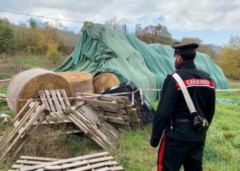 Incidente sul lavoro a Rondinara di Scandiano