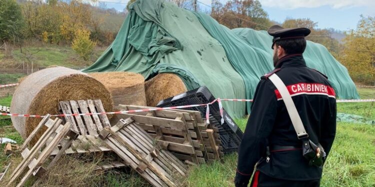 Incidente sul lavoro a Rondinara di Scandiano