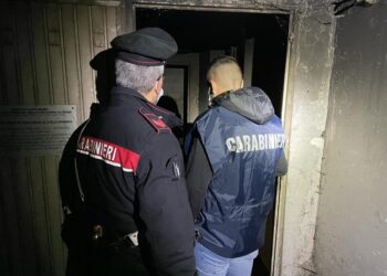 Operazione dei carabinieri