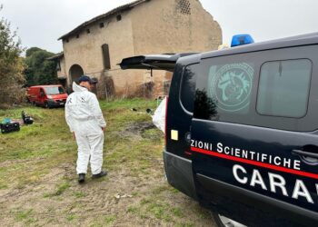 L'indagato si trova nel carcere di Reggio Emilia