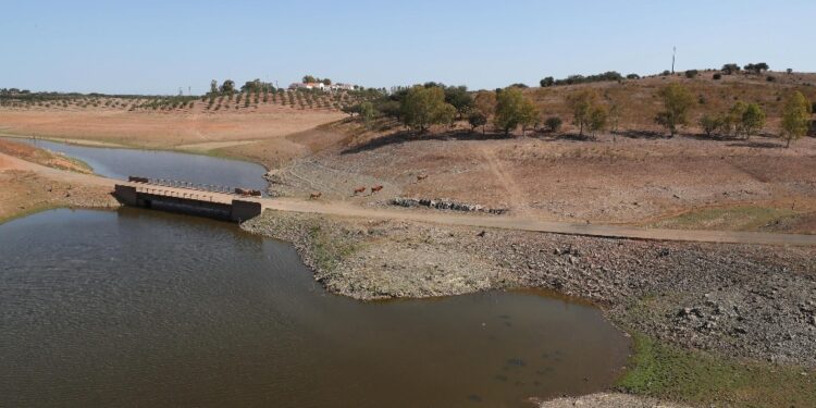 Almeno 50 mila persone sfruttate nelle campagne dell'Alentejo