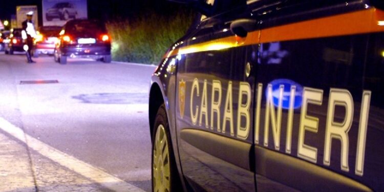 Cercava di impossessarsi di gasolio in azienda agricola reggiana