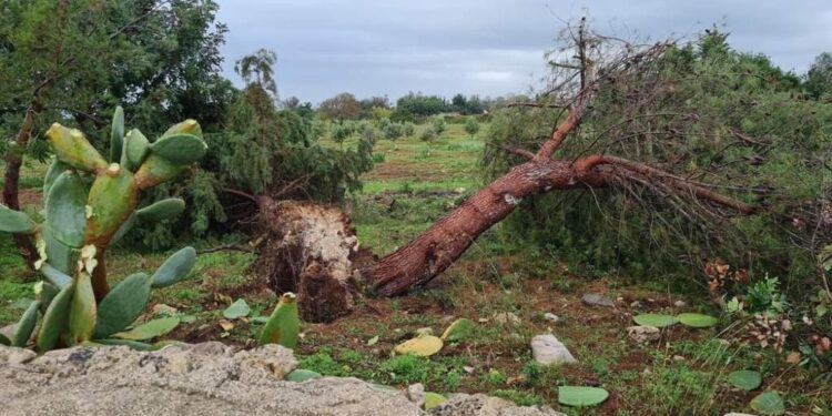 Vortice sul litorale del Capo di Leuca