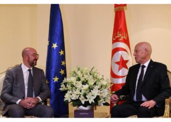 Incontro con Saied incentrato su 'sostegno Ue a popolo tunisino'