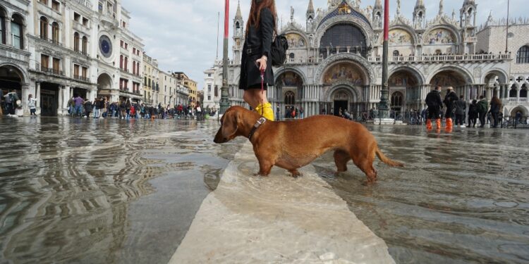 Basilica all'asciutto perchè già protetta da 'cintura'' in vetro