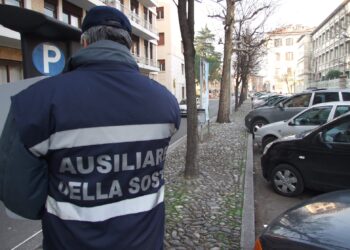 Csu ausiliari della sosta