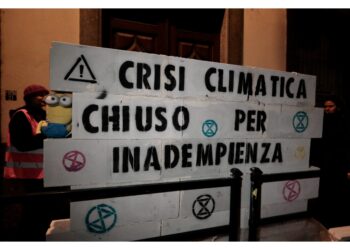 Blitz degli attivisti in pieno centro a Torino