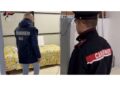Carabinieri sequestrano casa di risposto abusiva nel Reggino