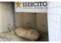 400 interventi in un anno tra Marche