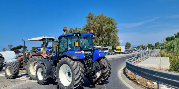 L'imprenditore chiedeva controanalisi