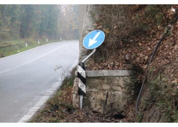 "Anche in merito alla pericolosità di quel tratto di strada"