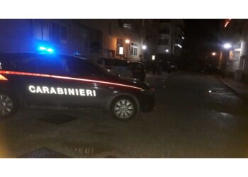 Corpi trovati dalla figlia