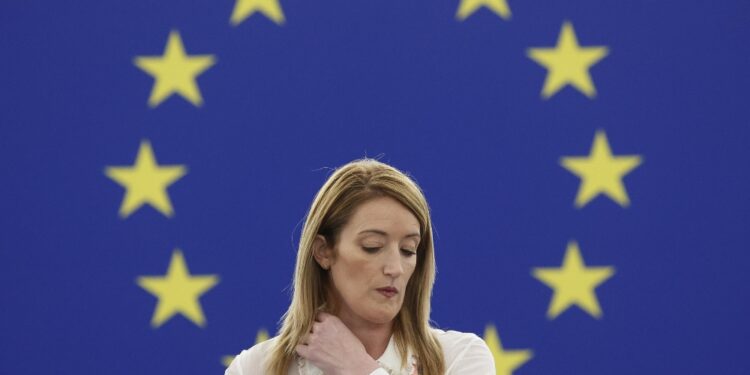 'E' missione del Parlamento europeo'