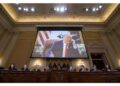 'In base all'articolo 14 della Costituzione'