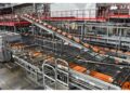 L'azienda presenta il suo secondo Bilancio di Sostenibilità