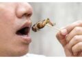 Cento grammi di grilli hanno proteine doppie rispetto al pollo