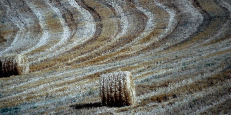 Incidente nell'azienda agricola di famiglia