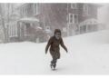 Temperature polari