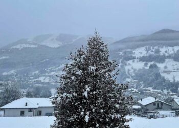neve