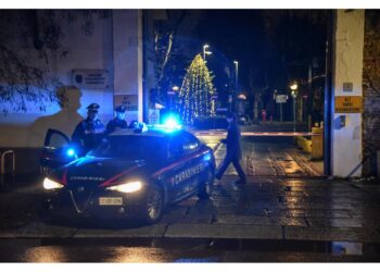 Convalidato il fermo a Milano. 'Giovane incline alla violenza'