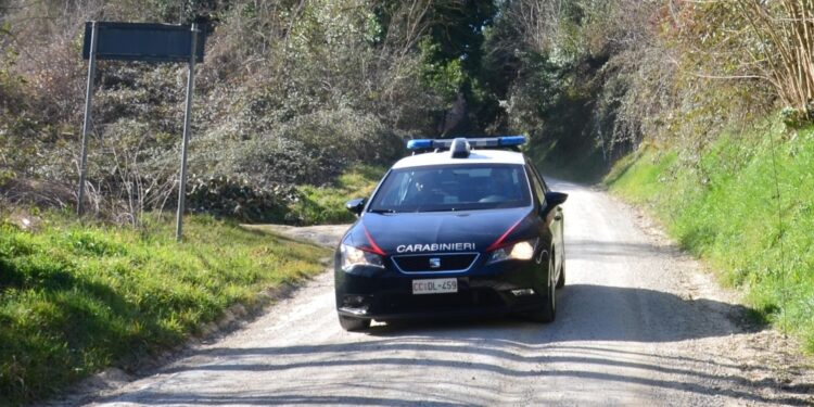 Episodio nel Sud Sardegna