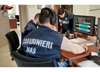 Impegnava 16% spesa settore Asp a Catania