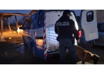 Operazione è legata ad attentato Berlino del 2016