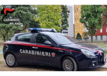 Operazione dei carabinieri tra la Lombardia e Agrigento