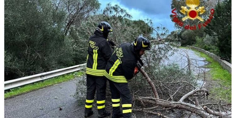 Anche soccorsi a persone e animali rimasti isolati per neve