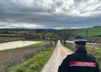 Viabilità dei ponti controllata dalla polizia locale