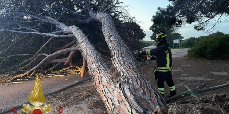 Interventi Vigili del Fuoco nel Cagliaritano e nel Sassarese