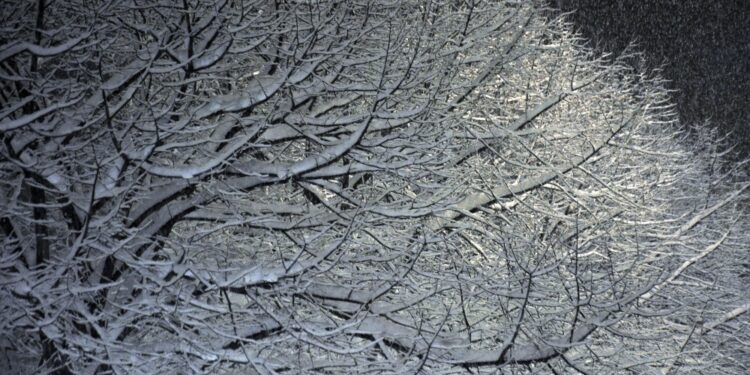 Condizioni avverse sabato 21/1. Accumuli 30-50 cm sopra 500 mt