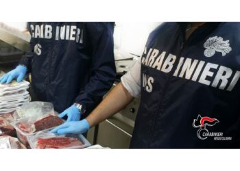 Operazione carabinieri del Nas. Trovati alimenti mal conservati