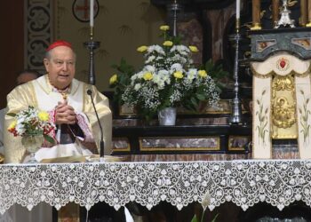 Messa cardinale Cantoni san Francesco di Sales giornalisti