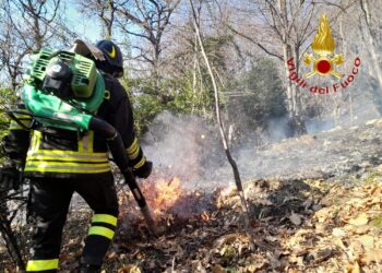 Canzo, incendio in Val Ravella