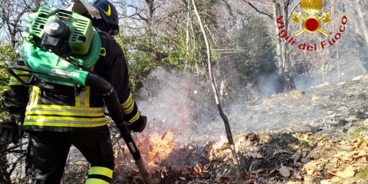 Canzo, incendio in Val Ravella