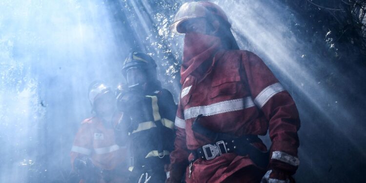 Incendio vicino alla Iplom. Non si esclude l'ipotesi dolosa