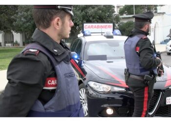 Operazione dei carabinieri nel soveratese