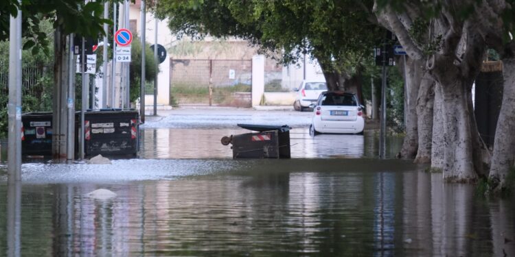 Protezione civile