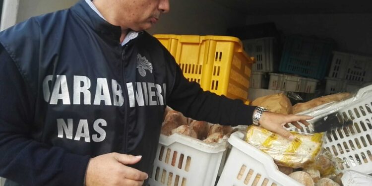 Scoperta dei Cc durante controlli di Carnevale nel Casertano