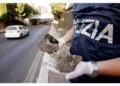 Tre ventenni presi sul fatto da Stradale e polizia locale