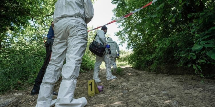 Era in un campo al confine tra le province di Mantova e Brescia