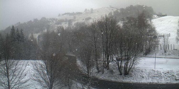 La neve nell'immagine della webcqam dell'Osservatorio di Sormano, nel Triangolo Lariano