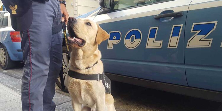 Polizia unità cinofila controlli droga