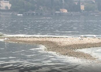 Livello del lago di Como