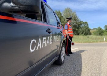 L'uomo bloccato in un campo su segnalazione di un agricoltore