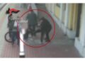 Responsabili di un pestaggio per le strade di Meda