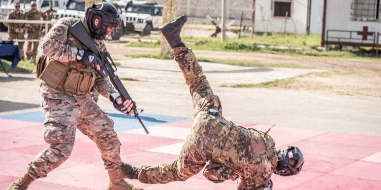 Prosegue cooperazione con la missione Unifil nel Sud del Libano